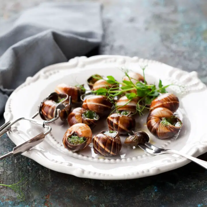 Escargot Recipe